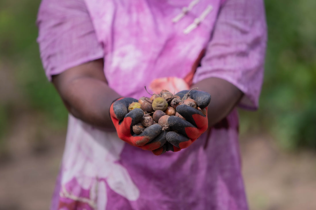 Discover the Pure Goodness of Star Shea's New Shea Butter